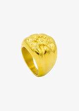 EL ARÁNDANO RING