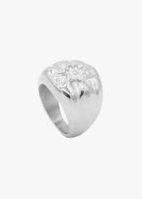 EL ARÁNDANO RING PLATA