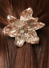 CEDRO PLATA