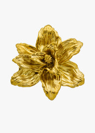 CEDRO