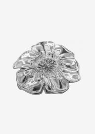 LA PINZA PLATA