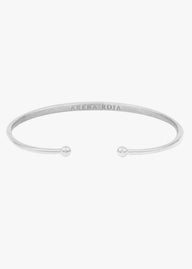 BANDIDA PLATA